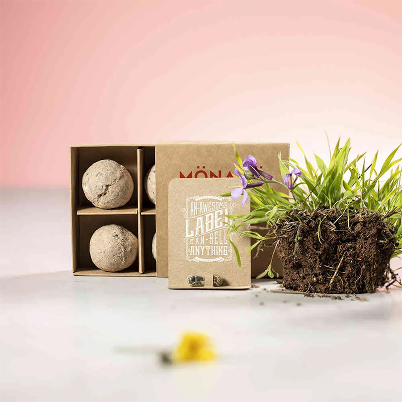 Capsule avec graines - image 5